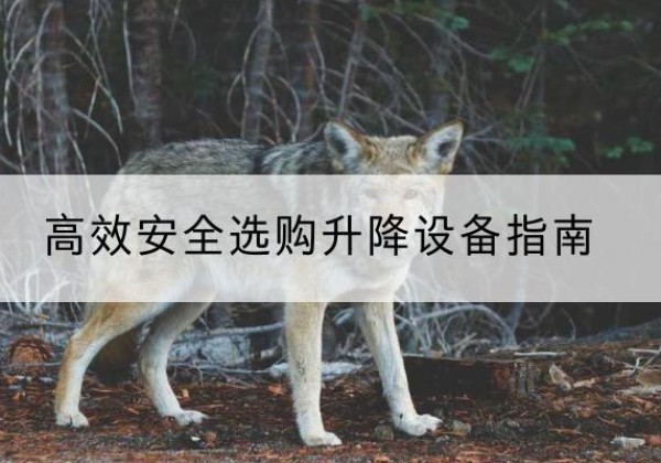 库车升降货梯厂家推荐-*安全选购升降设备指南