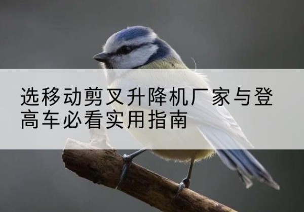 库车电动升降机厂家-选移动剪叉升降机厂家与登高车必看实用指南