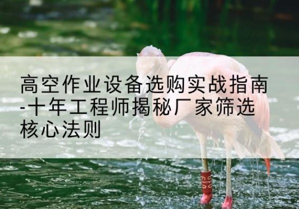 库车剪叉式升降机厂家-高空作业设备选购实战指南-十年工程师揭秘厂家筛选核心法则